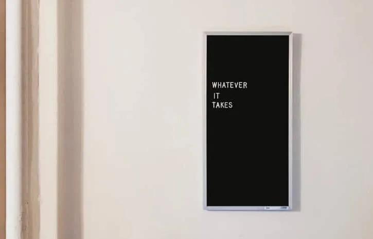 WHATEVER IT TAKES